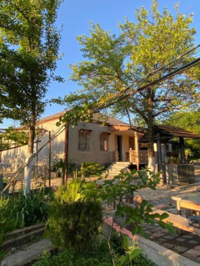 Villa Simoneti